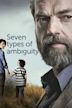 Seven Types of Ambiguity (TV series)