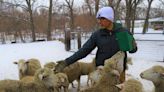 Minnesota couple helps with finding a cure for Huntington's Disease with their special sheep