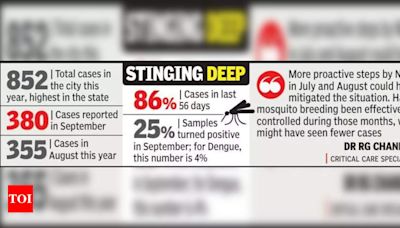 Urgent: Protect Chikungunya Patients from Mosquito Bites to Prevent Rapid Spread | Nagpur News - Times of India