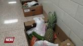 Lima City Schools is passing out boxes of fresh produce on Thursdays to families