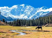 Nanga Parbat