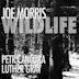 Wildlife (Joe Morris album)