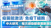 T細胞丨中大研究：新冠疫苗能激活「免疫T細胞」、每次感染都會重新激活，保護力或可長達17年！