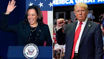 Key swing state poll show who is leading race between Trump and Harris