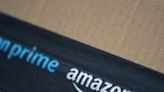 Amazon Purr-rime: Cat accidentally shipped to online retailer