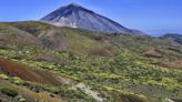 "El pico del Teide es un cagadero": continúan los atentados ambientales en el Parque Nacional