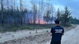 Russian shelling causes forest fire in Donetsk Oblast: about 300 hectares ablaze – photos