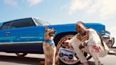 Snoop Dogg Gets Into the Pet Apparel and Accessories Business