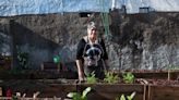 Armó una huerta para producir las verduras que necesita para servir el almuerzo a quienes no tienen para comer