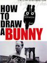 How to Draw a Bunny