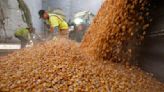 Futuros del trigo y el maíz caen tras expirar acuerdo de exportación de grano del Mar Negro