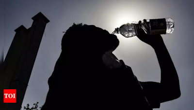 India experienced 536 heatwave days in summer, highest in 15 years: IMD | India News - Times of India