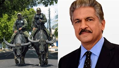 "The Pace Of...'': Anand Mahindra Takes A Dig At Microsoft's Global Outage
