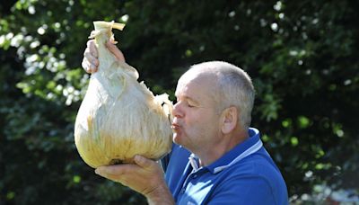 Giant vegetables on show at North Yorkshire flower show