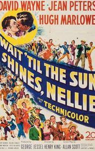 Wait till the Sun Shines, Nellie (film)