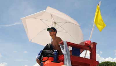 Shark bites just another day at the office for beach lifeguards. Here's their advice