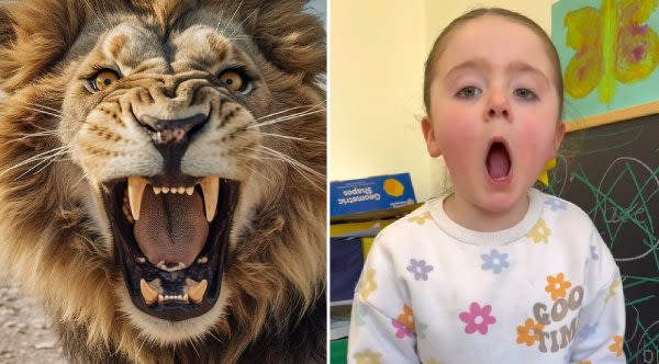 Little Girl Does An Amazingly Realistic Lion Roar, Viewers Are In Disbelief