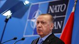 Erdogan to meet with leaders of Sweden, Finland before NATO summit