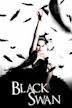 Black Swan (film)