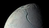 Discovery of biomarkers in space—conditions on Saturn's moon Enceladus simulated in the laboratory