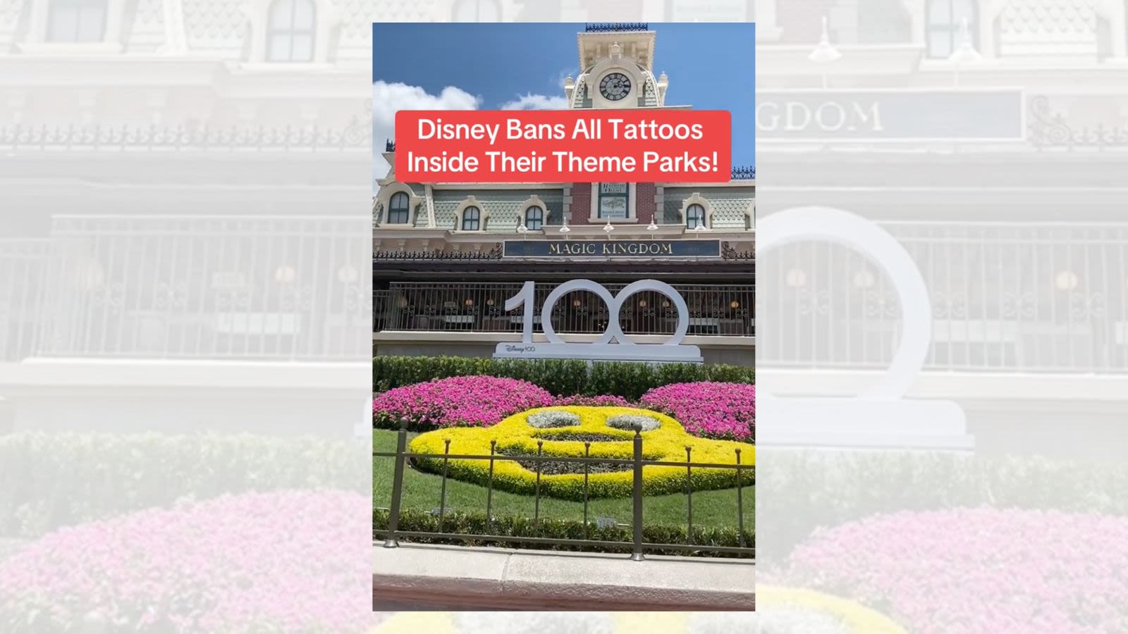 Fact Check: Disney Banned All Tattoos in Theme Parks?