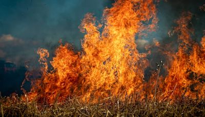 Man accused in court of starting a huge wildfire in California: Thousands evacuated and acres destroyed