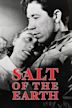 Salt of the Earth (1954 film)