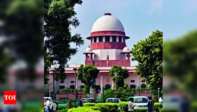 Supreme Court stays Karnataka HC order blocking Power TV broadcast | Delhi News - Times of India