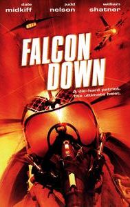 Falcon Down