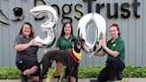 Darlington's Dogs Trust to celebrate 30th birthday with free event