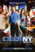 CSI: Nueva York