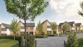 Huge family homes and 'feature meadow' to be built next to woodland