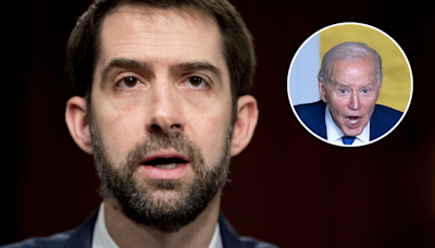 House has 'no choice' but to impeach Biden for conditioning Israel aid, GOP senator says