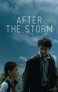 After the Storm (2016 film)