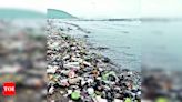 Action Needed to Reduce Marine Plastic Pollution | Ahmedabad News - Times of India