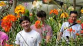 Un colombiano clona orquídeas al borde de la extinción