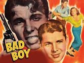 Bad Boy (1949 film)