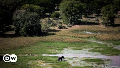 Moçambique: Gorongosa renasce com escolas e centros de saúde – DW – 22/06/2024