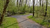 Park in Denver Borough getting informational signs thanks in part to grant