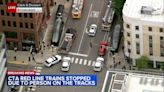 Person on CTA Red Line tracks near Clark and Division halts northbound trains through the Loop