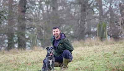 Dog owner runs into water to save ‘best buddy’ who fell over sea wall