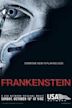 Frankenstein (2004 film)