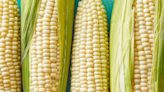 Why Silver Queen Corn Is Worth the Wait