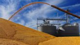 Bunge to buy Viterra in $18 billion deal that would create an agricultural powerhouse