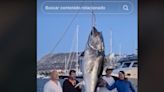 Pescadores de Dénia capturan un atún de 350 kilos