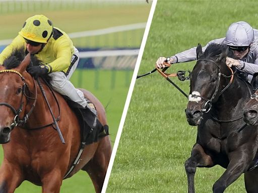 'The race could set up well for him' - trainers on their runners in the big handicap at Ascot