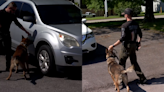 Williamson County Sheriff’s Office adds 2 new K9s to the force