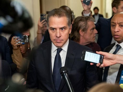 Hunter Biden told Congress he didn't work on visas for Burisma boss, but emails suggest otherwise