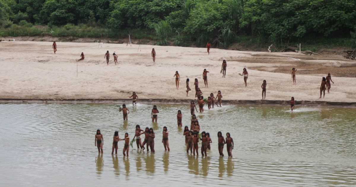 Uncontacted Amazon tribe photographed in unusual sighting near logging area