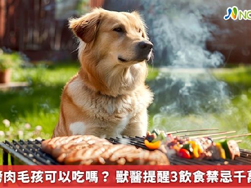 中秋烤肉毛孩可以吃嗎？ 獸醫提醒3飲食禁忌千萬別犯